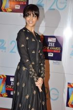 Genelia D Souza at Zee Awards red carpet in Mumbai on 6th Jan 2013 (104).JPG